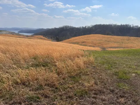 Burkesville, KY Lakeview Vacant Land