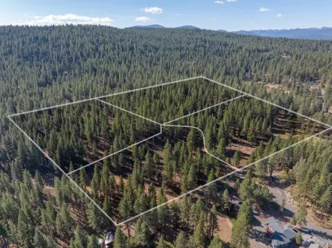 Forested Land Parcel in Truckee