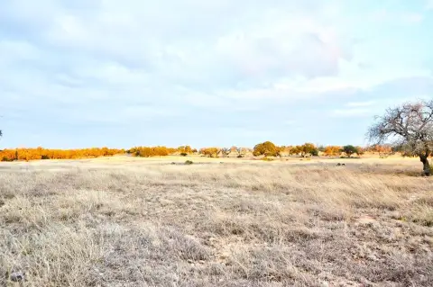 Texas Hill Country Residential Lot