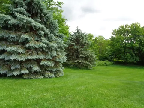 Land with Golf Course Views