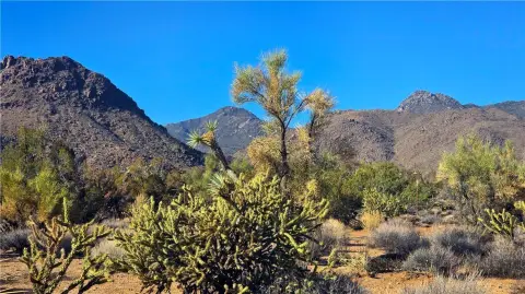 30 Acres in Yucca, AZ