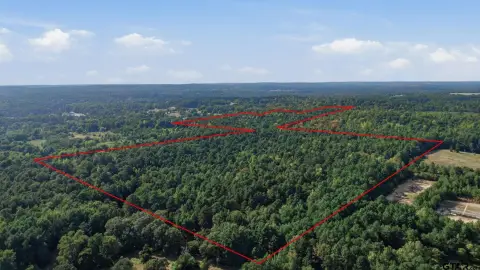 Wooded Hunting Land