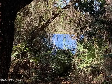 Lakeside Wooded Property in Interlachen