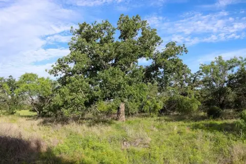Kingsland Land with Hill Country Views