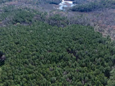 Heathsville Land with Subdivision Potential