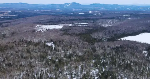 Vermont Recreational Land For Sale