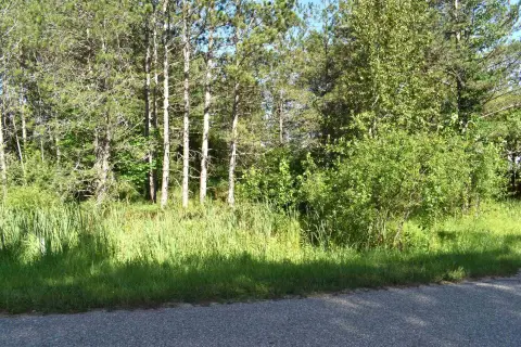 Wooded Land in Sugar Springs