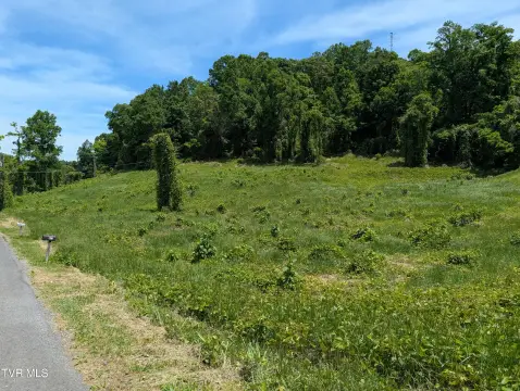 Rogersville Land For Sale
