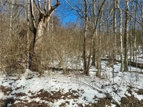 Wooded Recreational Land Tract