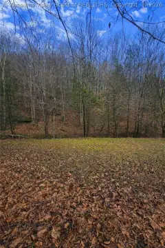 Gandeeville Land with Garage