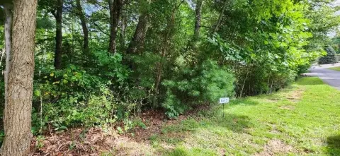 Residential Land in Burnsville, NC