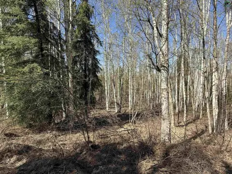 Chena Ridge Residential Land