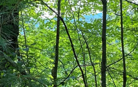 Riverfront Lot in Buckhorn Estates