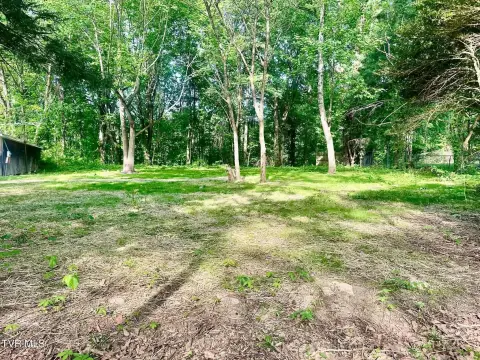 Residential Land Near South Holston