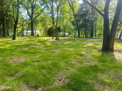 Residential Land Near South Holston