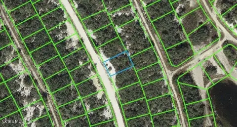 Residential Land in Lake Placid