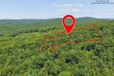 Wooded Land Parcel