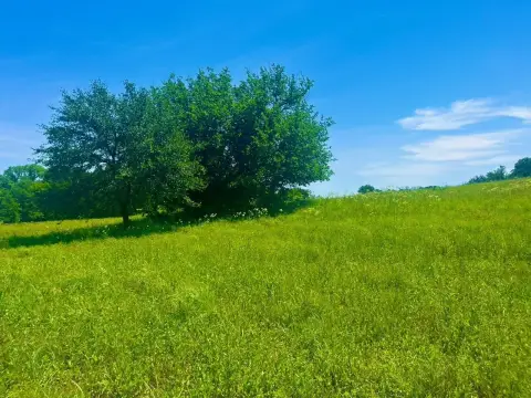 Residential Land Tract with Oak Trees