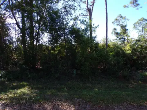 Residential Lot in Punta Gorda