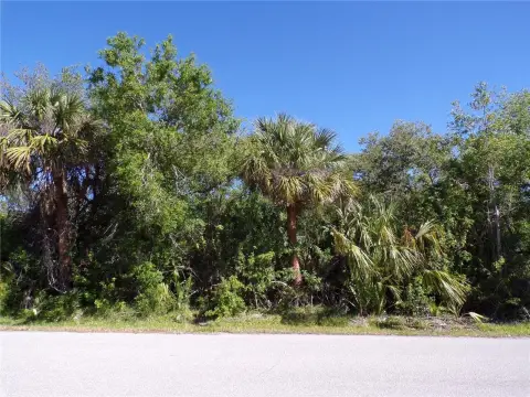 Residential Lot in Punta Gorda