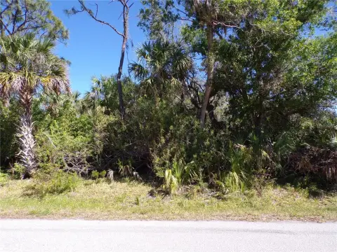 Residential Land in Punta Gorda