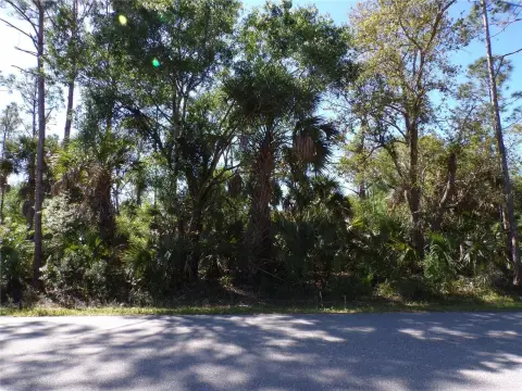 Residential Land in Punta Gorda