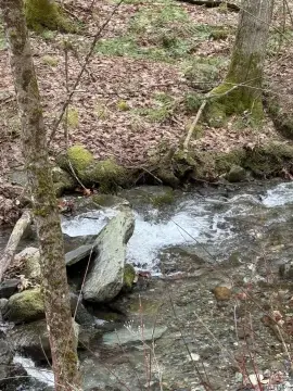 Recreational Land with Brook in Vermont