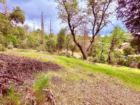 Buildable Lot Near Bass Lake