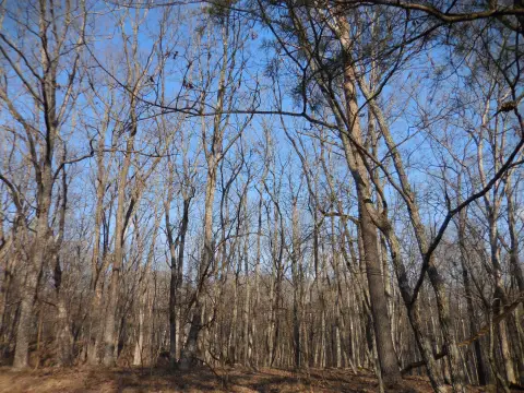 Land in Fairfield Glade