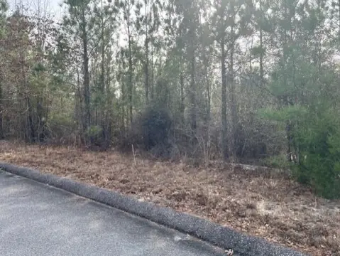 Residential Land in Windsor, SC