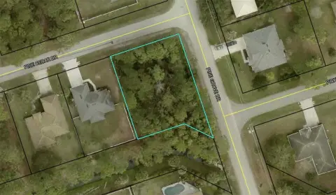 Oversized Corner Homesite in Palm Coast