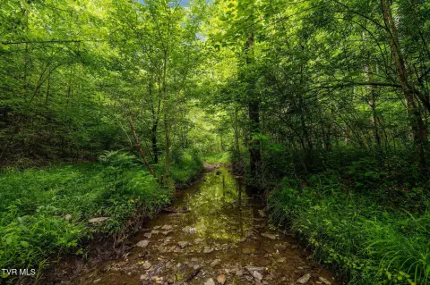 Unrestricted Mountain Land For Sale
