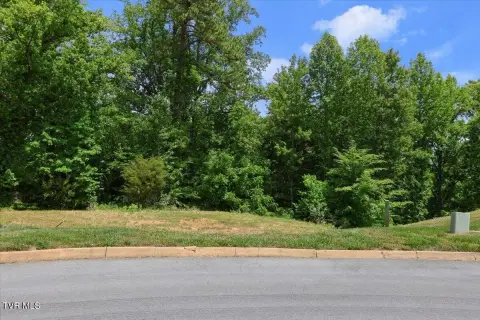 Residential Lot in Ivy Trace