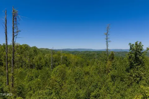 Unrestricted Mountain Land with Views