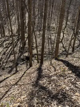 Coeburn, VA Land Parcel
