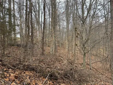 Residential Land Near Coal River