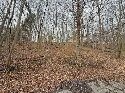 Residential Land Near Coal River