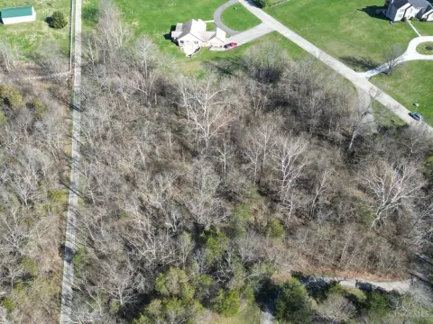 Wooded Land in Harrison Twp