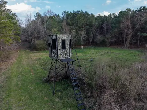 Piney Woods Hunting Land