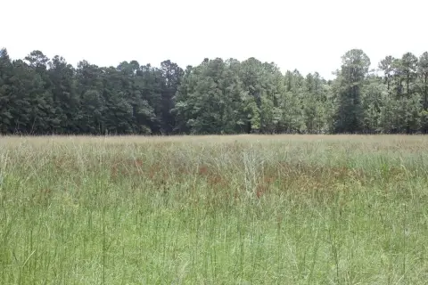 Cleared Land in Huntington ISD
