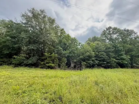 Wooded Tract with Railroad Backing