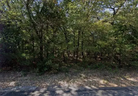 Heavily Wooded 10-Acre Land