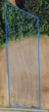 9.5 Acres in Nichols, SC