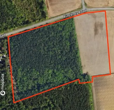 19 Acres in Nichols, SC