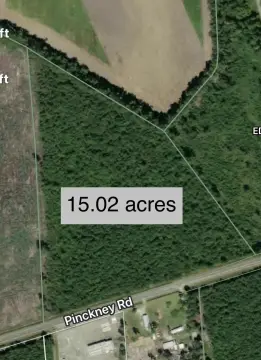 15 Acres in Nichols, SC