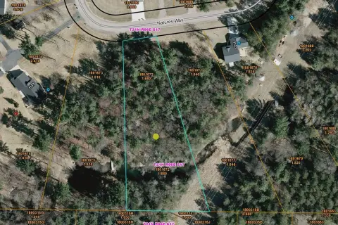 Wooded Land in Wisconsin Rapids