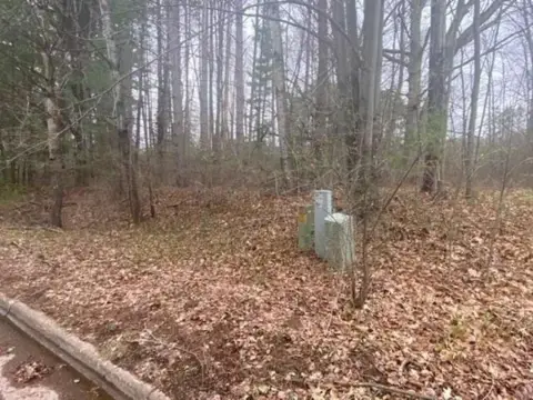 Wooded Lot in Wausau, WI