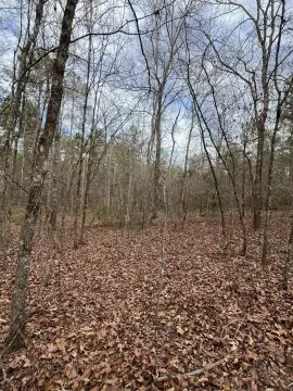 Aiken Homesite Near I-20