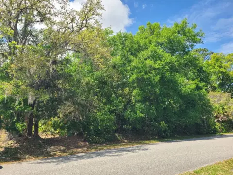 Oversized Lot in Palm Coast
