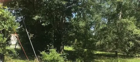 Barnwell, SC Land for Sale